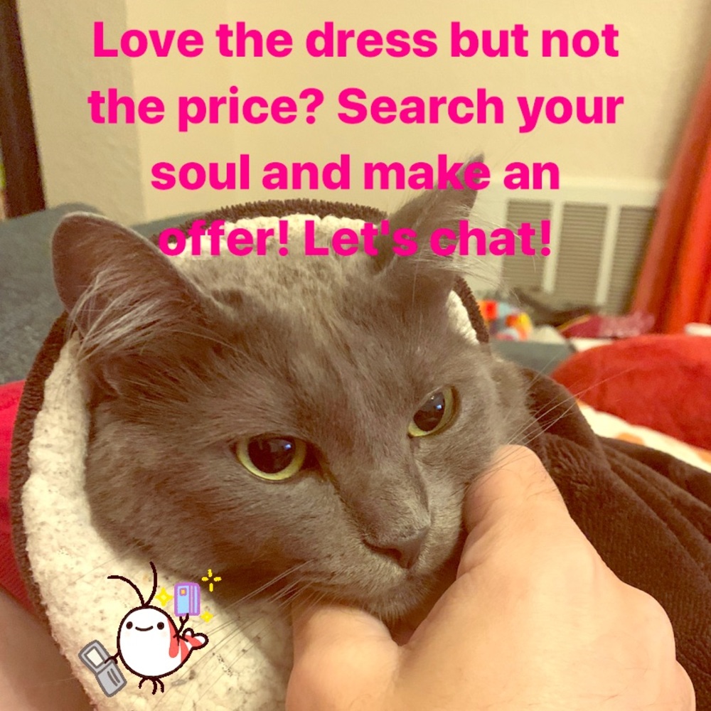 Make an Offer!